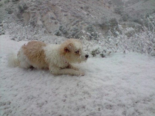 en la nieve de cieza